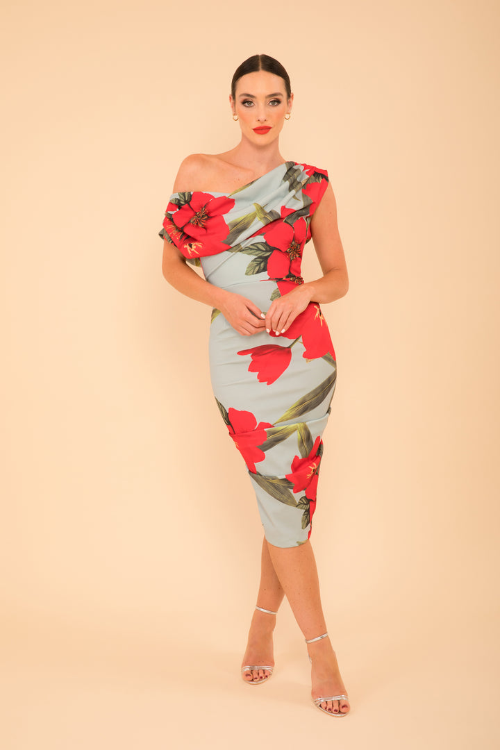 Janus dress in sage & poppy red print