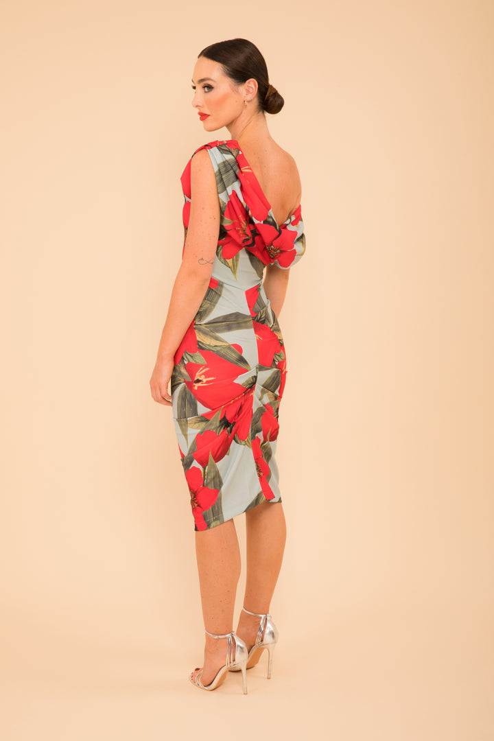 Janus dress in sage & poppy red print