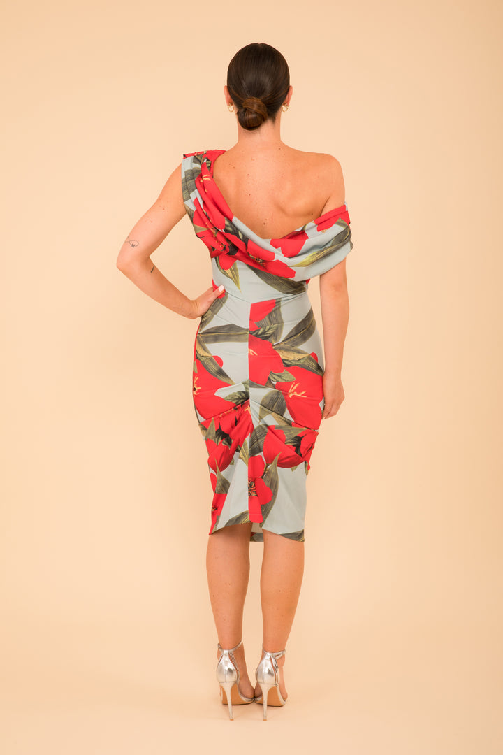 Janus dress in sage & poppy red print