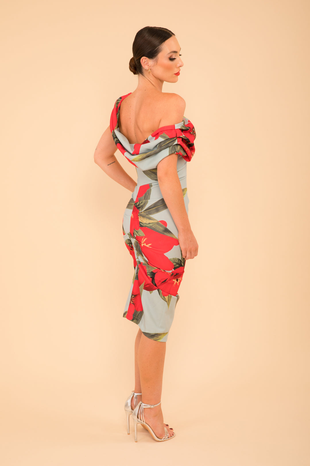 Janus dress in sage & poppy red print