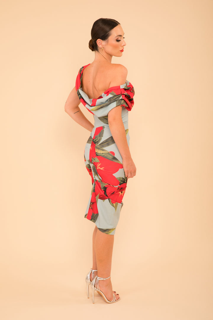 Janus dress in sage & poppy red print